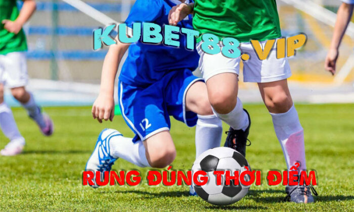 Kèo rung là gì? Kinh nghiệm đánh kèo rung hiệu quả nhất